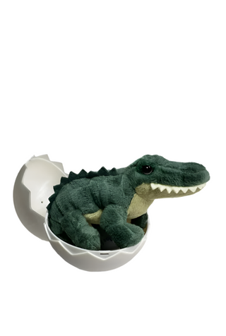 Alligator Hatchling