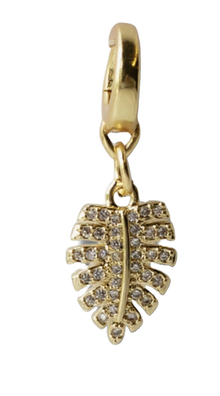 Monstera Charm