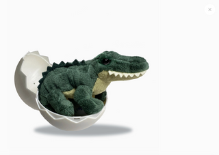 Big Love for Little Creatures: Hatchlings & Manatees That Give Back