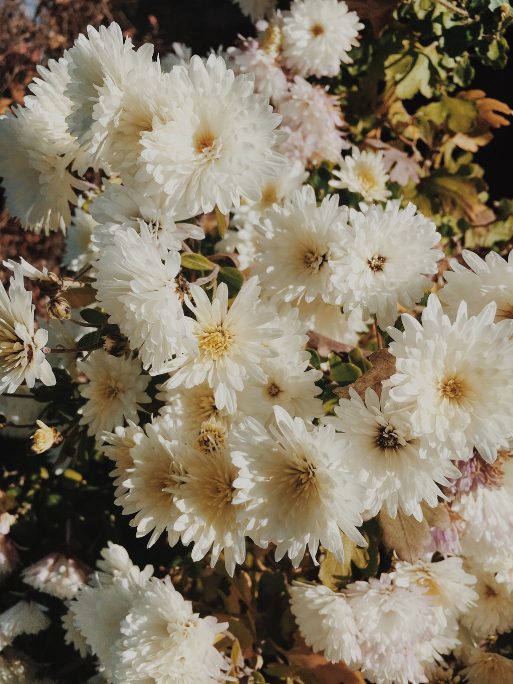April Showers Bring May Flowers and Mother's Day