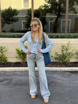 High Rise Wide Leg Jeans with Studs