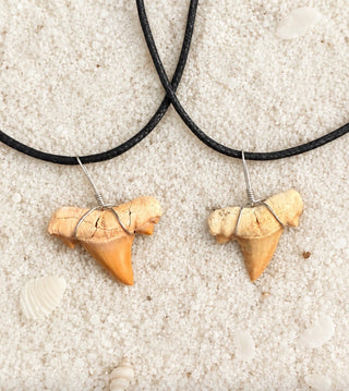 Sharkstooth Necklace Workshop July 11 2-4 pm
