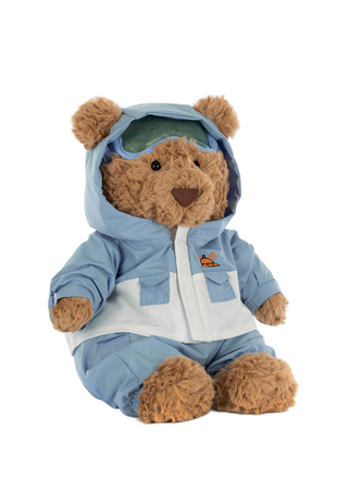Teddy bear wearing a blue hoodie on a white background