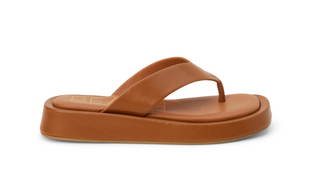 Brown sandal on a white background