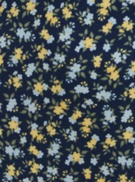 Z Supply Chiara Idra Ditsy Maxi Dress