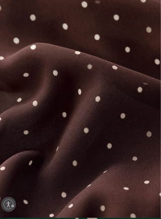 Z Supply Eda Polka Dot Mesh Midi Skirt