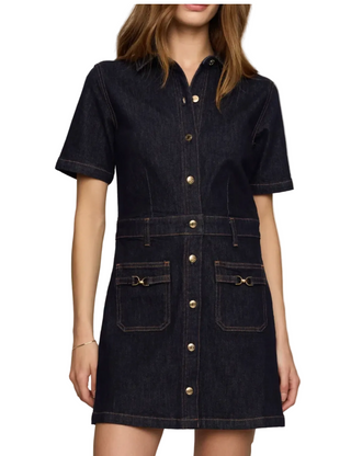 Z Supply Crush Denim Mini Dress