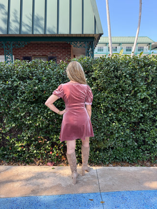 Velvet Short Sleeve Bow Dress