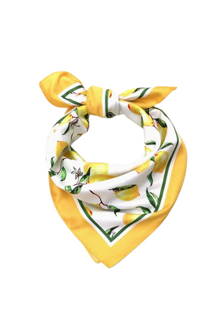 Silky Feel Bandana Scarf