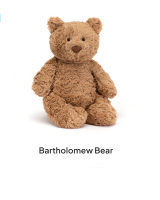Brown teddy bear with 'Bartholomew Bear' text on a white background