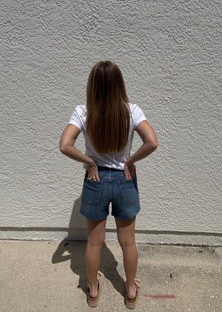 Z Supply - Jonah Mid Rise Relaxed Shorts - Lisbon