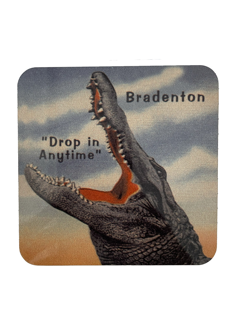 Bradenton Drop In Anytime Alligator Coaster  4x4 cork backed coaster.