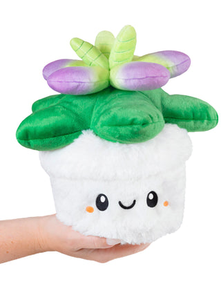 Squishable Mini Succulent  Being a plant-parent is hard. Being a plushie-parent is easier! The Mini Squishable Succulent allows you to be both, without making you feel like a sucky person for not watering your plant-child. This one is low maintenance! It sparks joy! It accents the soothing color pallet of your home! And if you get bored of it as decor, you can always use it as a pillow. Don't try that with a real plant.